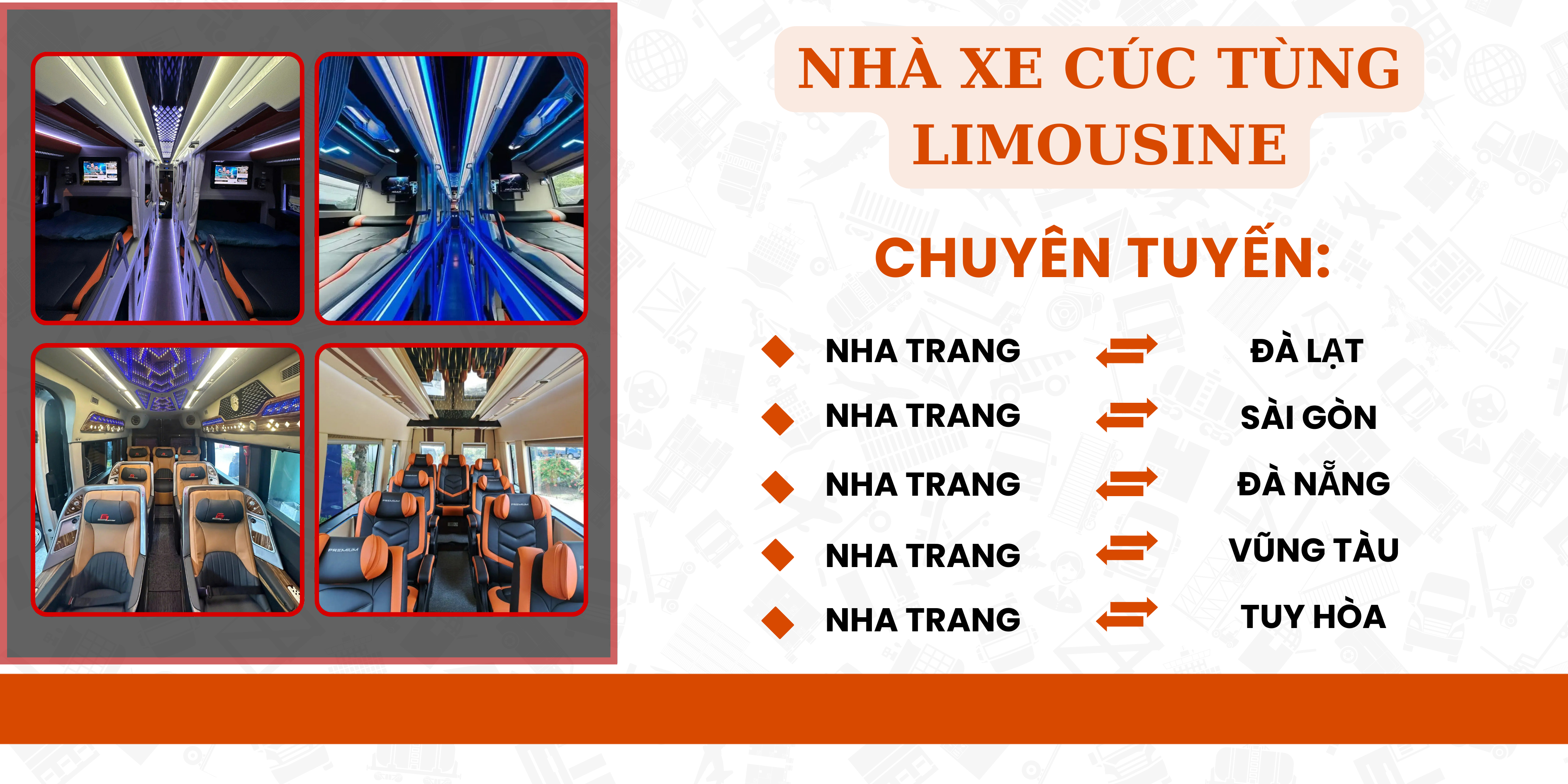 cúc tùng